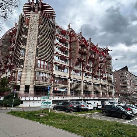 Red Riding Hood Lägenhet Belgrad Exteriör bild